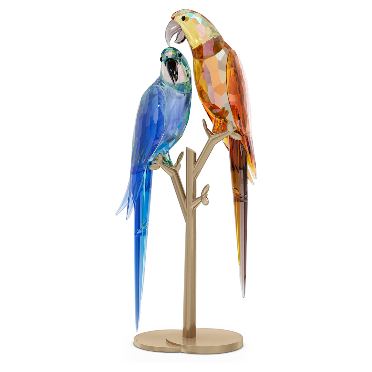 

Swarovski Jungle Beats—鹦鹉情侣Bell & Brio