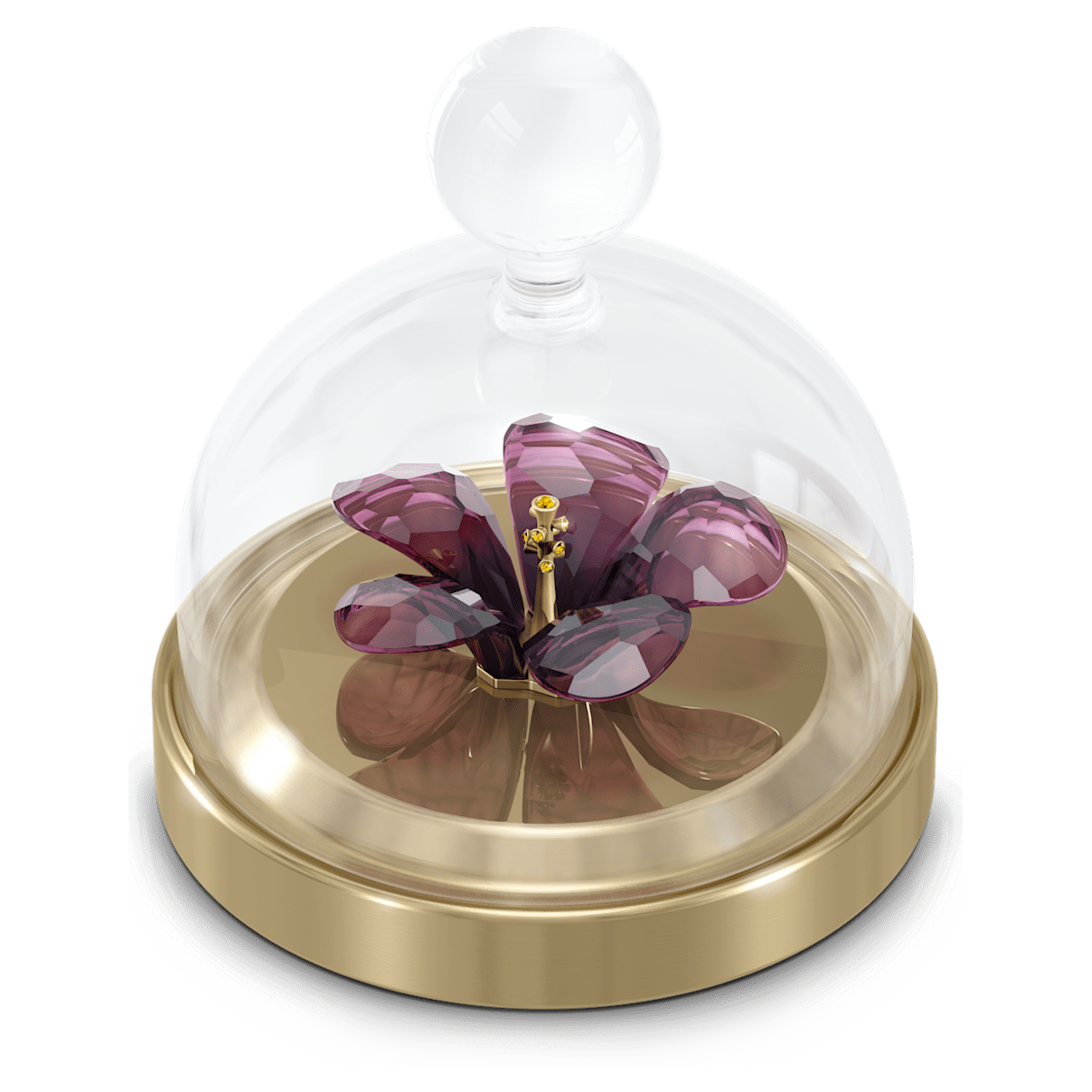 

Swarovski Garden Tales—仿水晶钟罩和芙蓉, 小