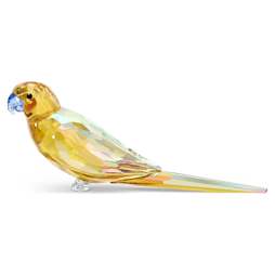Jungle Beatsキイロインコ Lechee | Swarovski