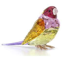 スワロフスキー　バード　鳥　ブローチ SWAROVSKI ブローチ 鳥 極楽鳥 インコ オウム 小鳥 bird