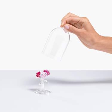 Buchet de trandafiri - Swarovski, 5493707