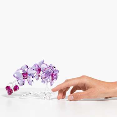 Orchidej - Swarovski, 5520373