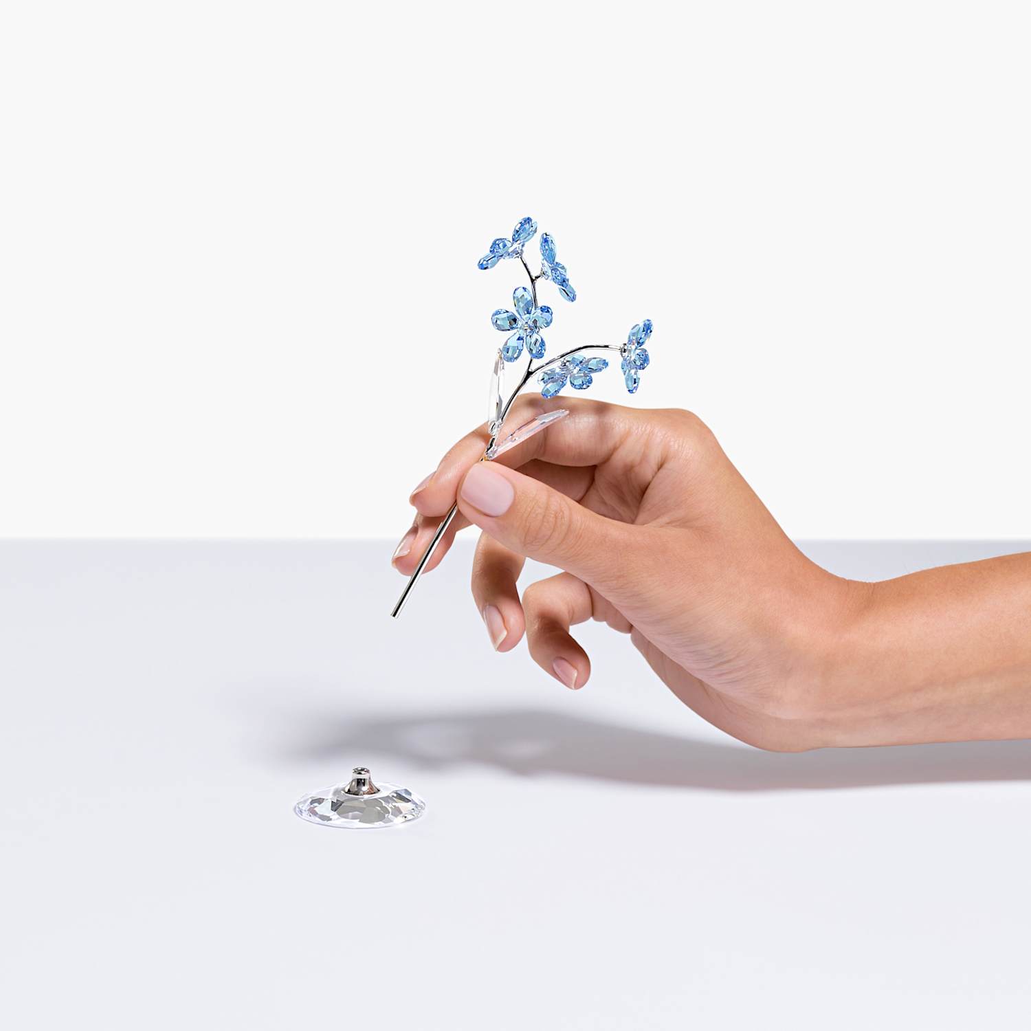Cicek Dusleri Unutma Beni Buyuk Boy Swarovski Com