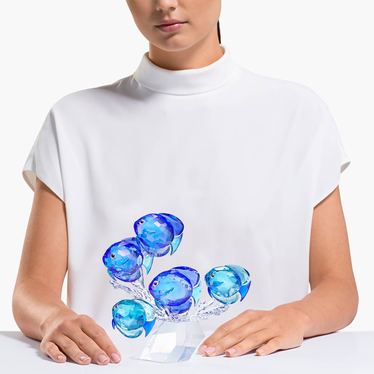 魚の群れ-swarovski-5493705.jpg