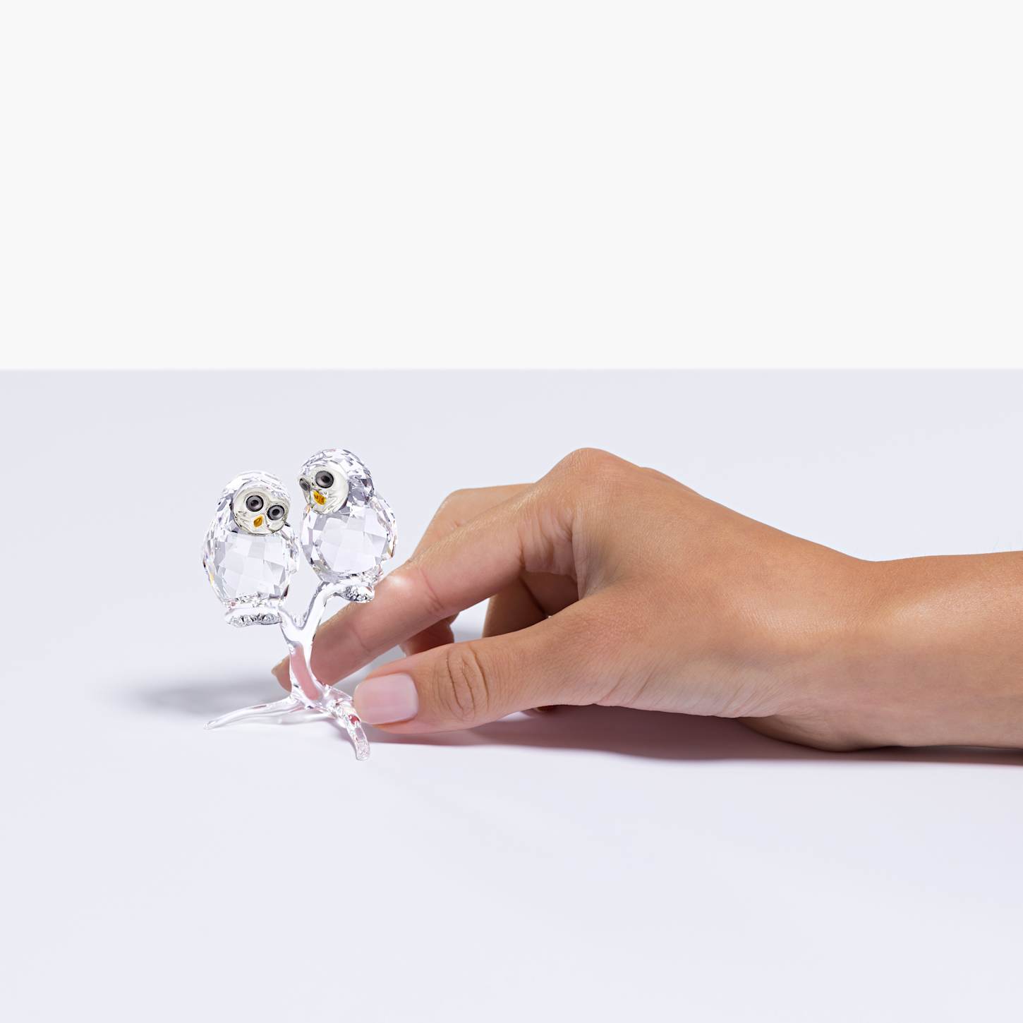 Feathered Beauties フクロウ（2羽セット） | Swarovski