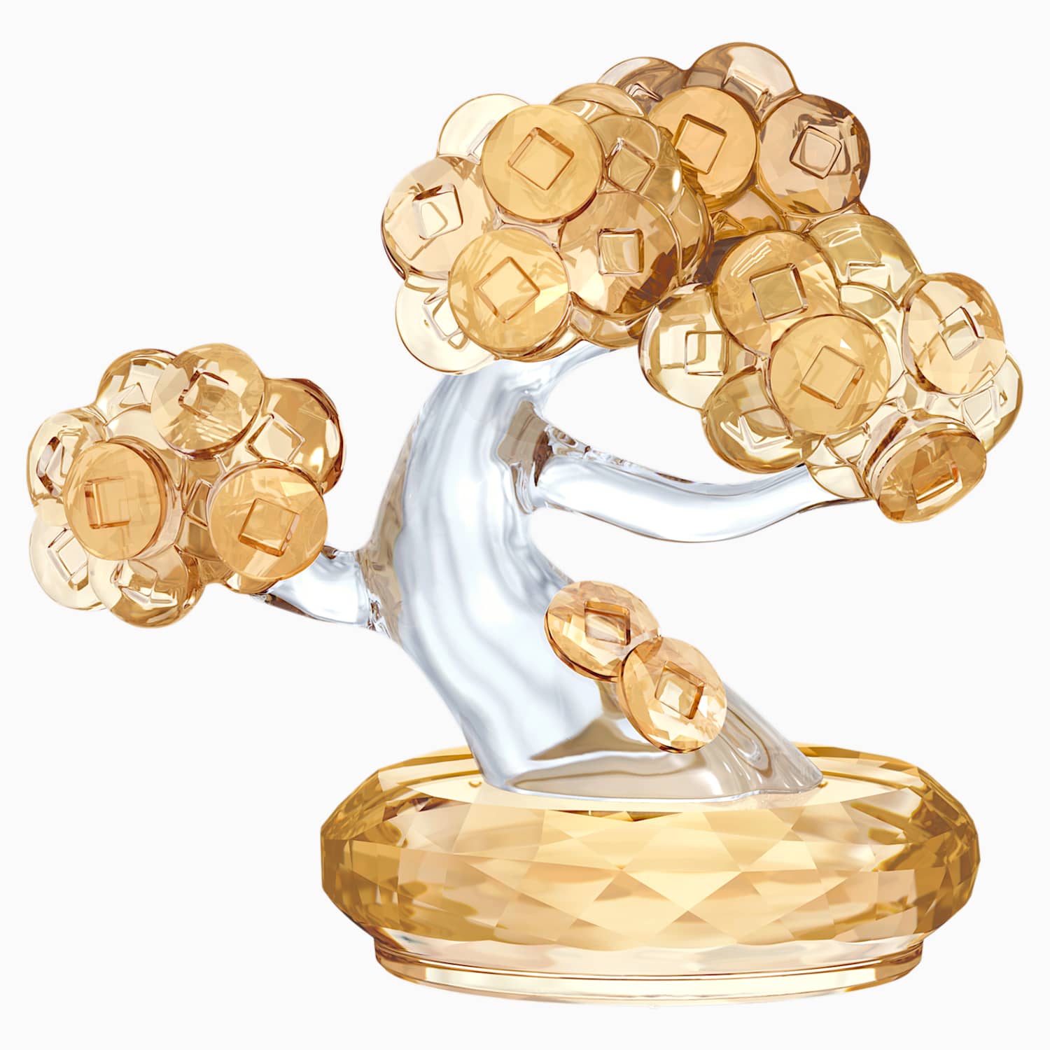 Geldbaum Von Dehner Ansehen