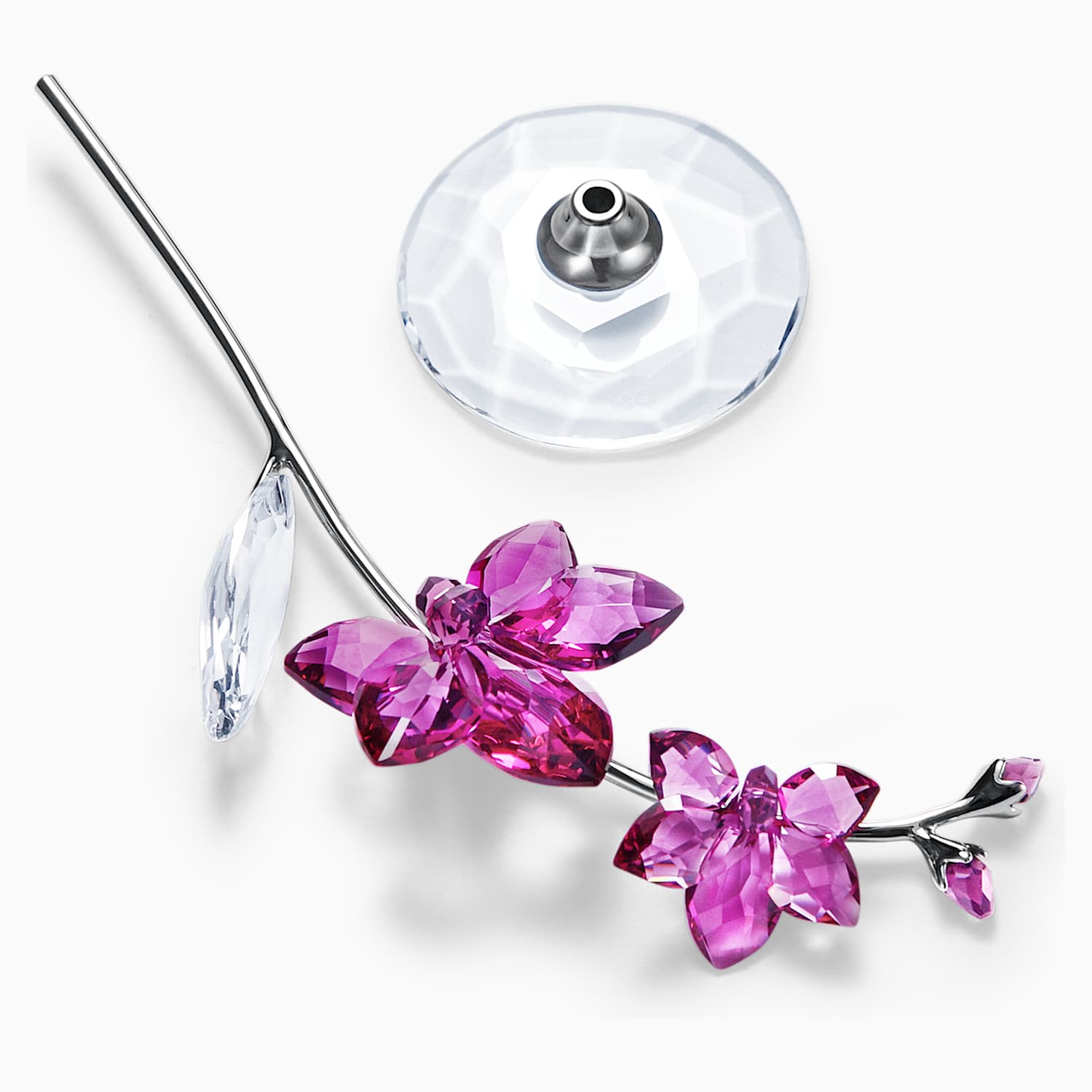 Reves Fleuris Orchidee Grand Modele Swarovski Com Reves Fleuris Orchidee Grand Modele Swarovski Com
