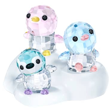 SCS Starszy brat Paco - Swarovski, 5301623