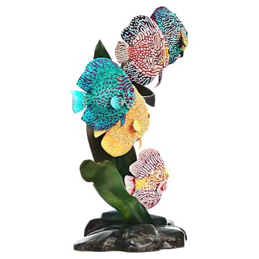 亞馬遜神仙魚| Swarovski