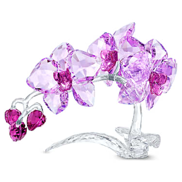 Orhidee cu flori de cristal - Swarovski, 5520373