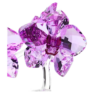 Orchidea - Swarovski, 5520373