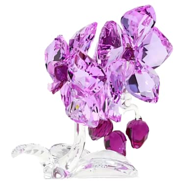 Orchidea - Swarovski, 5520373