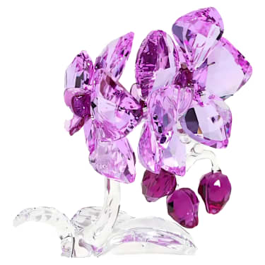 Orchidea - Swarovski, 5520373