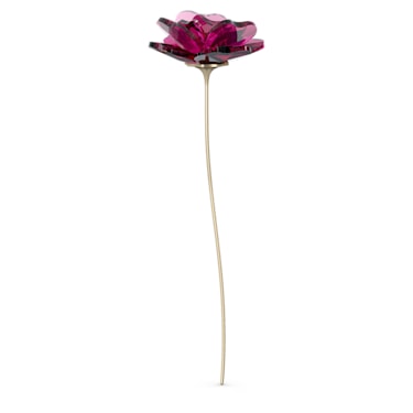Garden Tales Rose