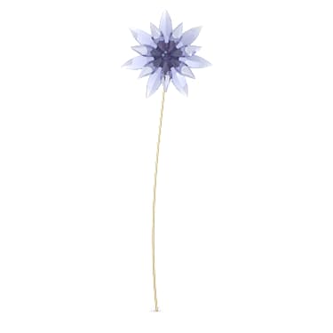 Garden Tales－黑种草, 网上限定产品 - Swarovski, 5567770