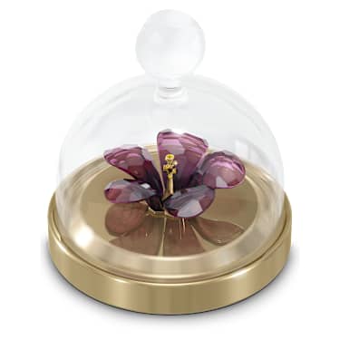 Garden Tales—仿水晶钟罩和芙蓉, 小 - Swarovski, 5619224