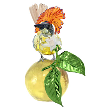 Idylliaオウギタイランチョウ | Swarovski