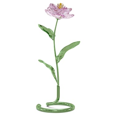Florere Peony - Swarovski, 5668065