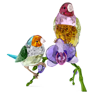 Idyllia SCS letna izdaja 2024 Gouldove amadine - Swarovski, 5670031