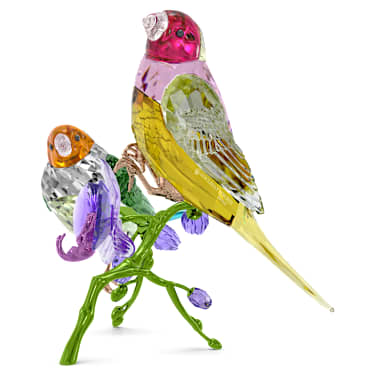 Idyllia SCS letna izdaja 2024 Gouldove amadine - Swarovski, 5670031
