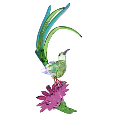 Idyllia Suikervogel en Cactusbloem - Swarovski, 5675166