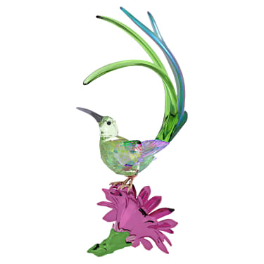 Idyllia Suikervogel en Cactusbloem - Swarovski, 5675166