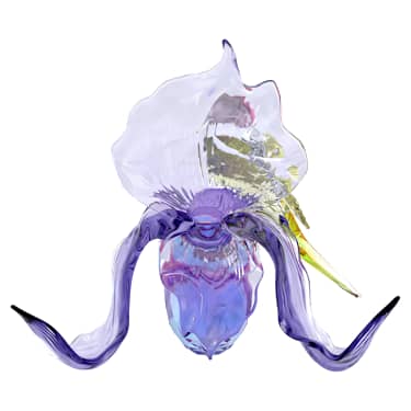 Idyllia Gouldamadine und Orchidee - Swarovski, 5675211