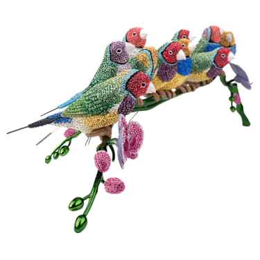 Crystal Myriad Gouldian Finches - Swarovski, 5677659