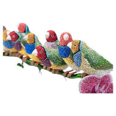 Crystal Myriad Gouldian Finches - Swarovski, 5677659