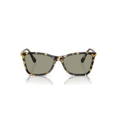 Lunettes de soleil, Forme carrée, SK6004, Marron - Swarovski, 5679542