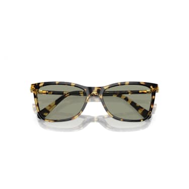 Lunettes de soleil, Forme carrée, SK6004, Marron - Swarovski, 5679542