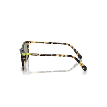 Lunettes de soleil, Forme carrée, SK6004, Marron - Swarovski, 5679542
