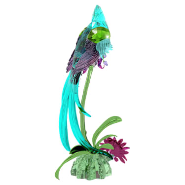 Idyllia Quetzal și orhidee - Swarovski, 5682123