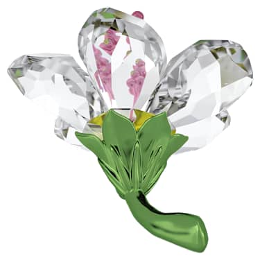 Florere 히비스커스, 스몰 - Swarovski, 5690534
