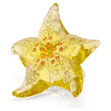 Idyllia SCS Seestern - Swarovski, 5690901