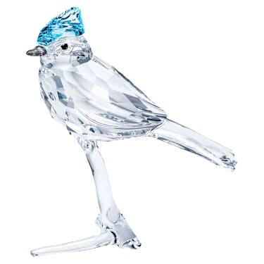 Feathered Beauties Ghiandaia Azzurra - Swarovski, 5705326