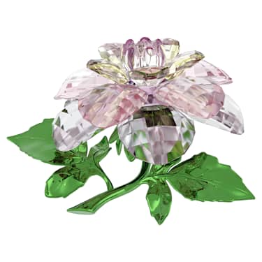 Florere ツバキ | Swarovski