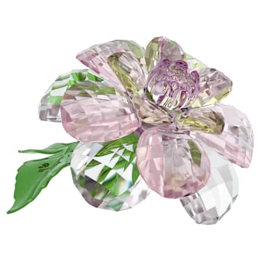 SWAROVSKI スワロフスキー Florere ツバキ 新品未使用 Florere ツバキ | Swarovski