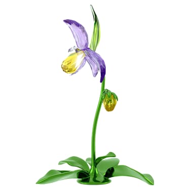 Florere Lady Slipper Orchid - Swarovski, 5721548