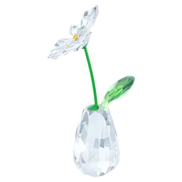 Flower Dreamsデイジー | Swarovski