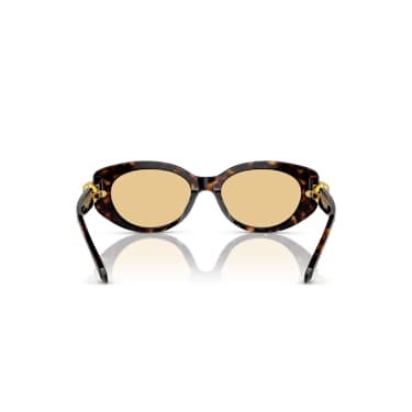 Sunglasses, Oval shape, Brown - Swarovski, 5746299
