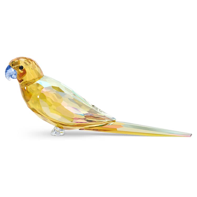 Jungle Beats Yellow Parakeet Lechee by SWAROVSKI