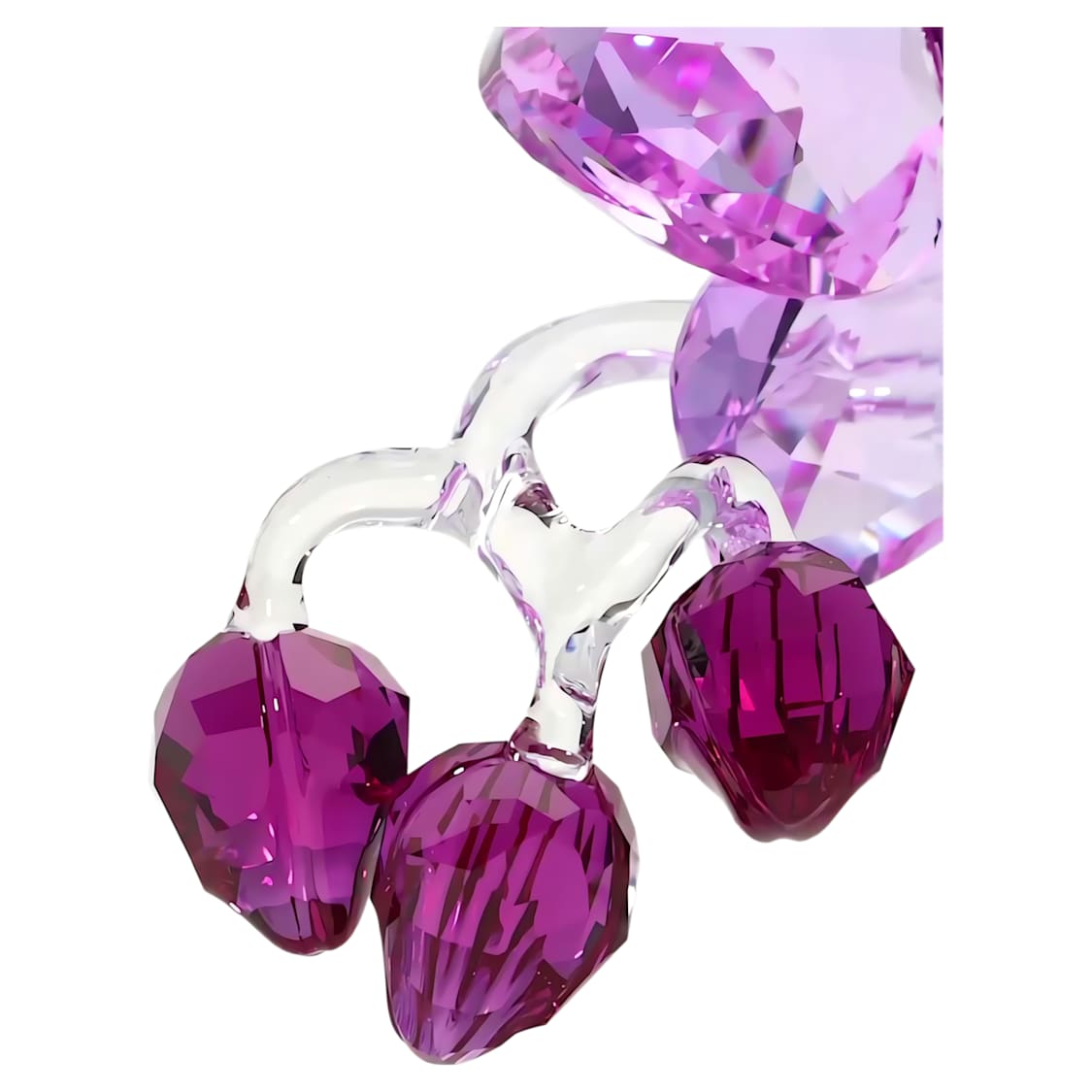 Crystal Flowers Orchid by SWAROVSKI