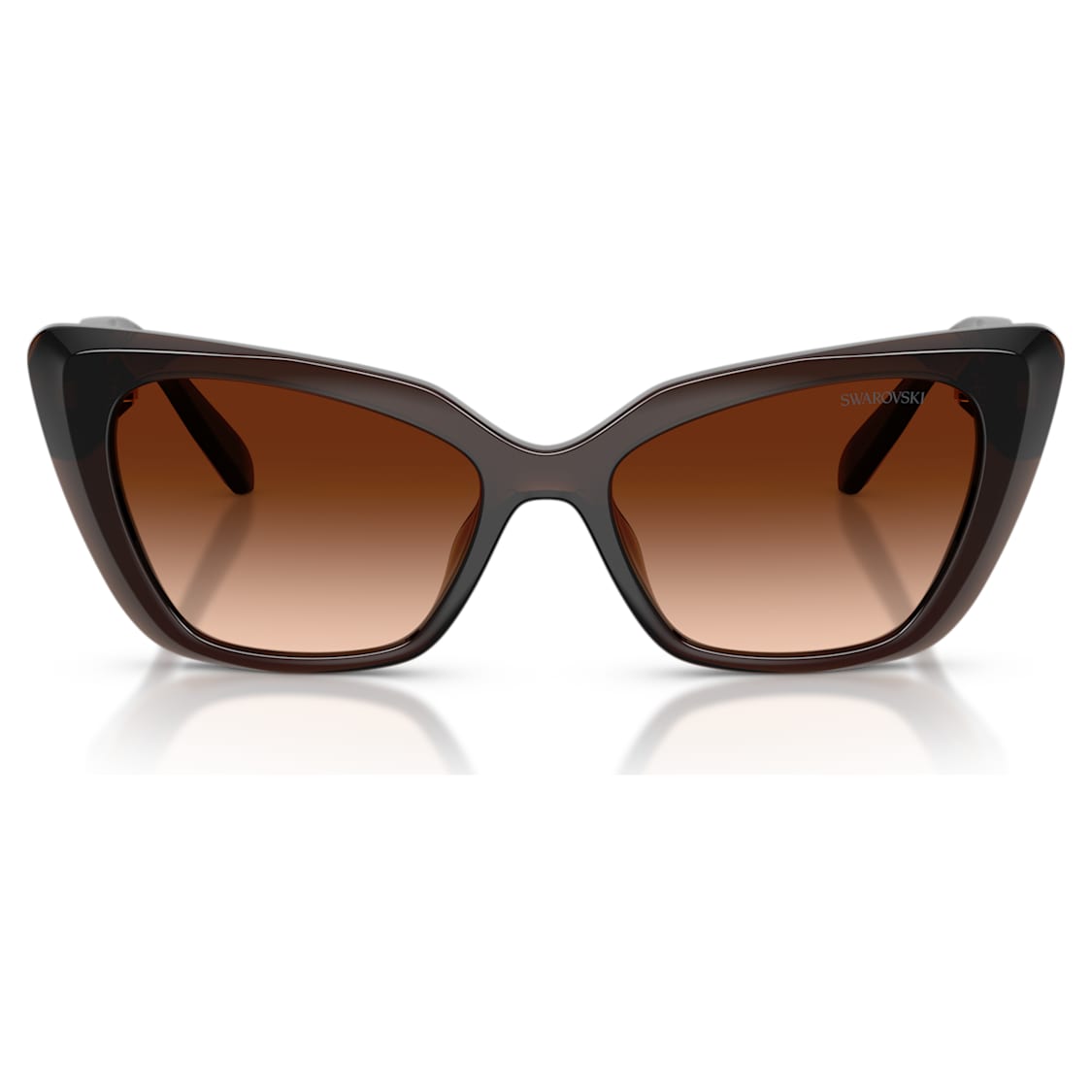 Sunglasses, Cat-Eye shape, SK6047, Dark brown by SWAROVSKI
