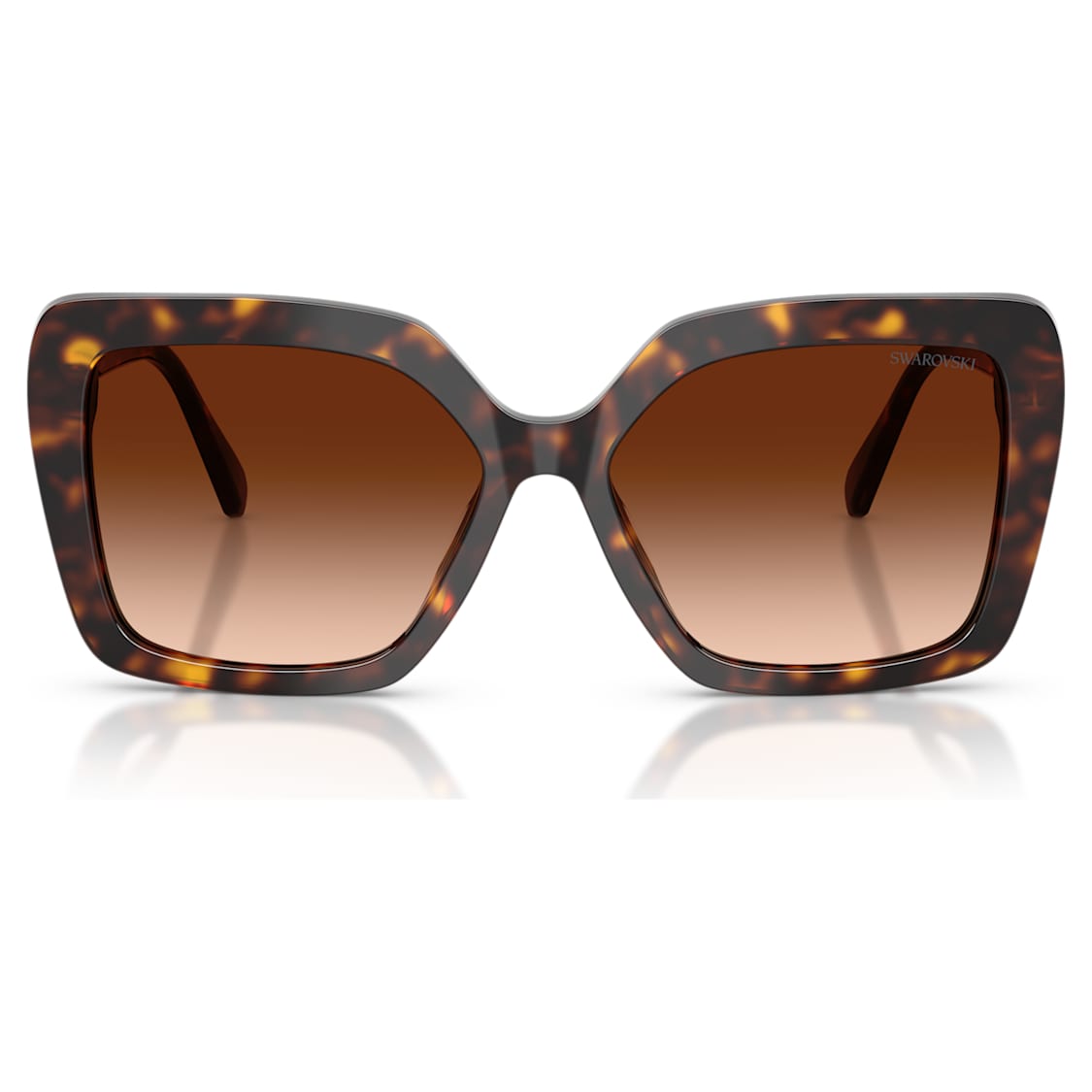 Sunglasses, Square shape, SK6049, Brown by SWAROVSKI