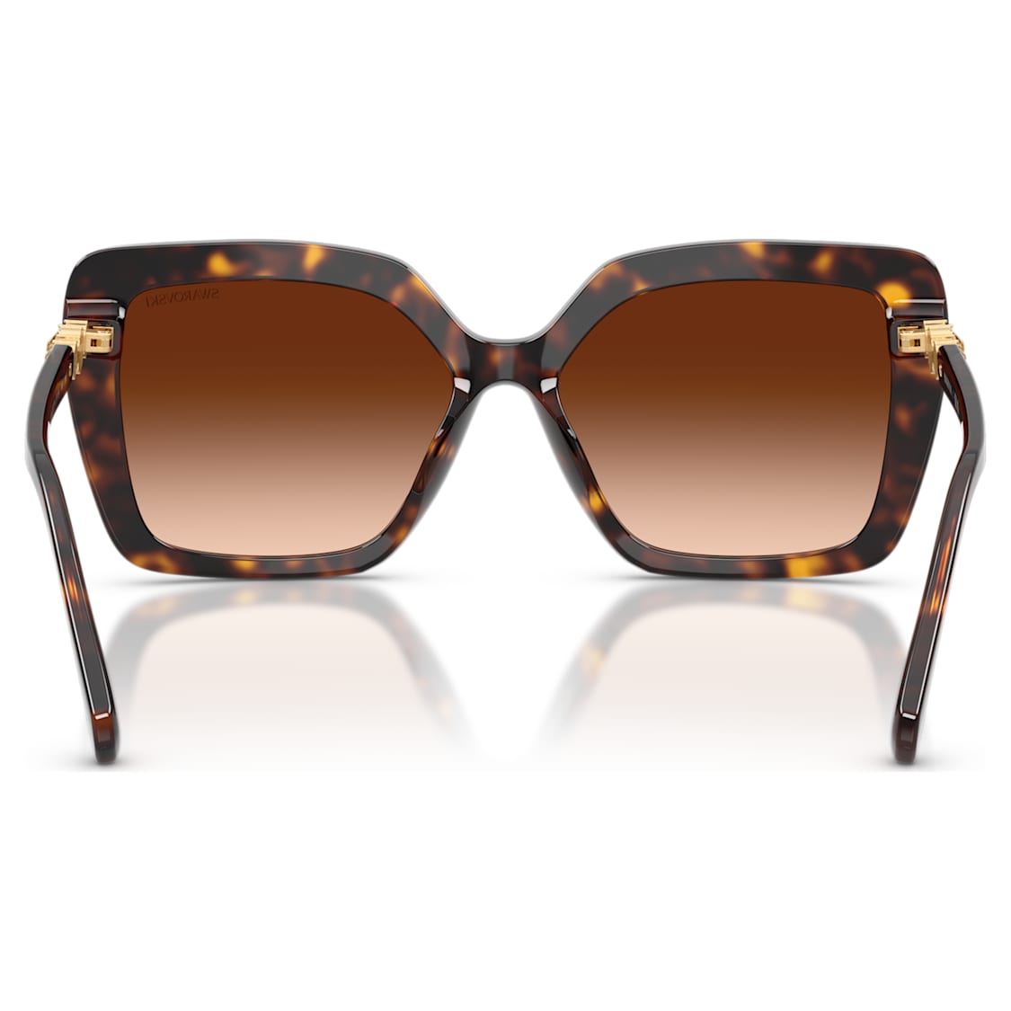Sunglasses, Square shape, SK6049, Brown by SWAROVSKI