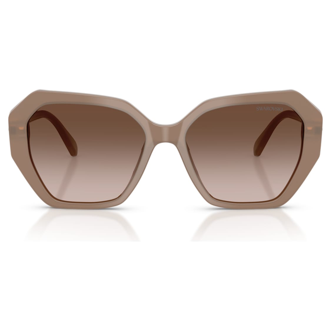 Sunglasses, Square shape, SK6017, Brown by SWAROVSKI