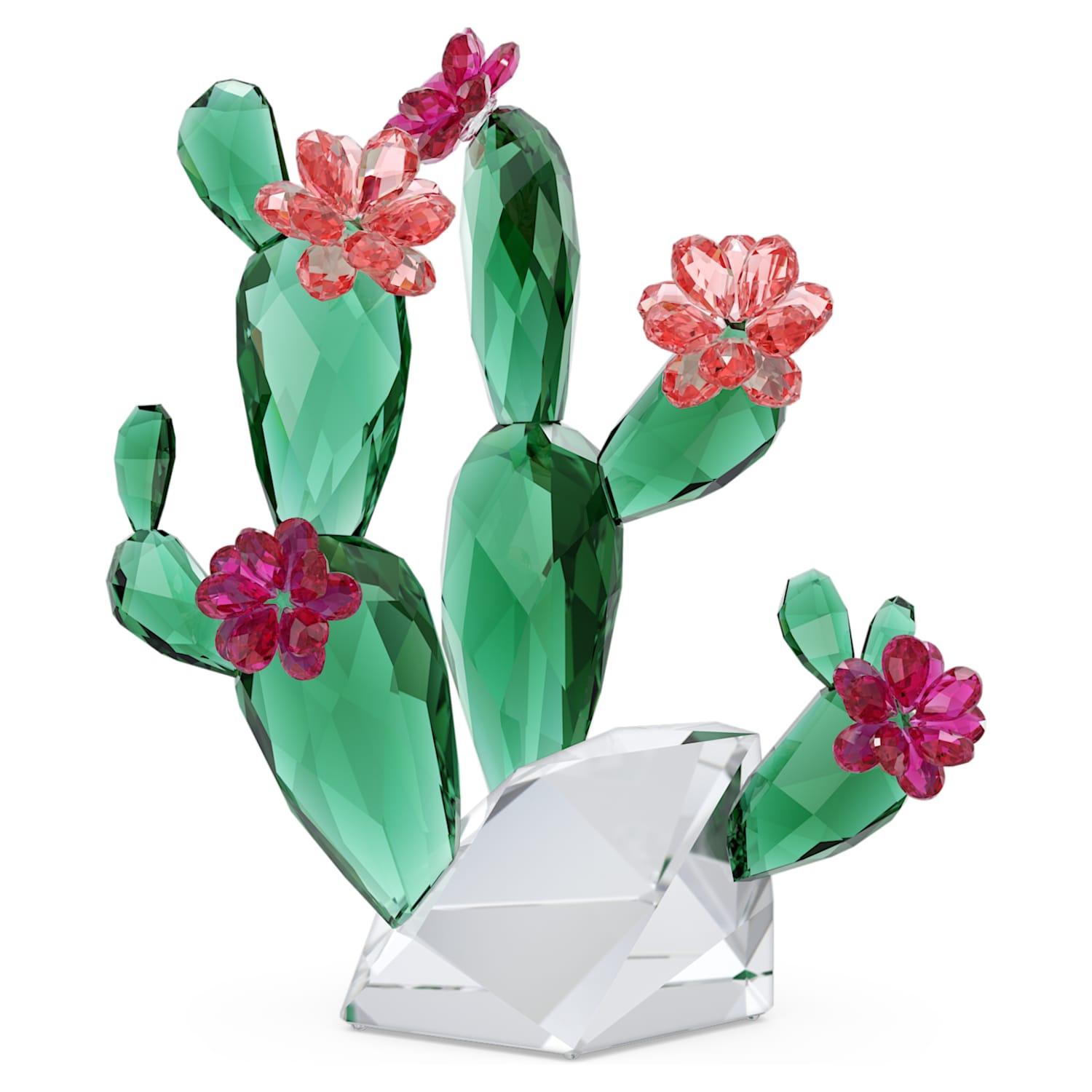 Crystal Flowers Cactus Rosa del desierto | Swarovski