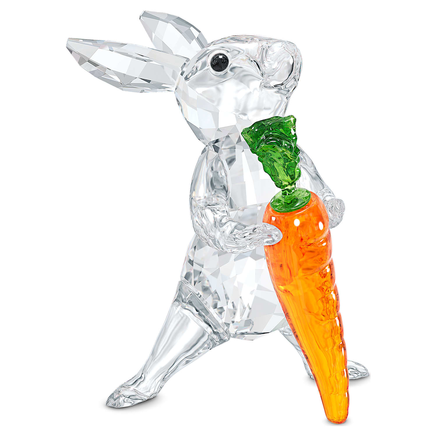 Wild Thoughts Rabbit Card Holder