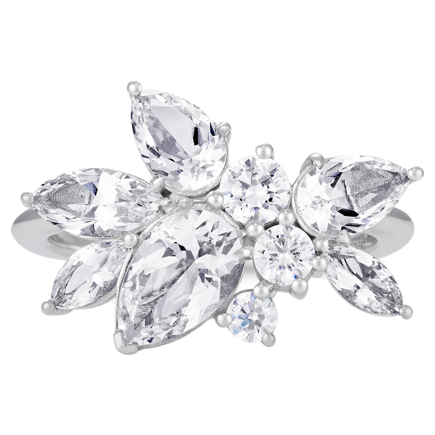 Swarovski 55 2024 veronicaruspi